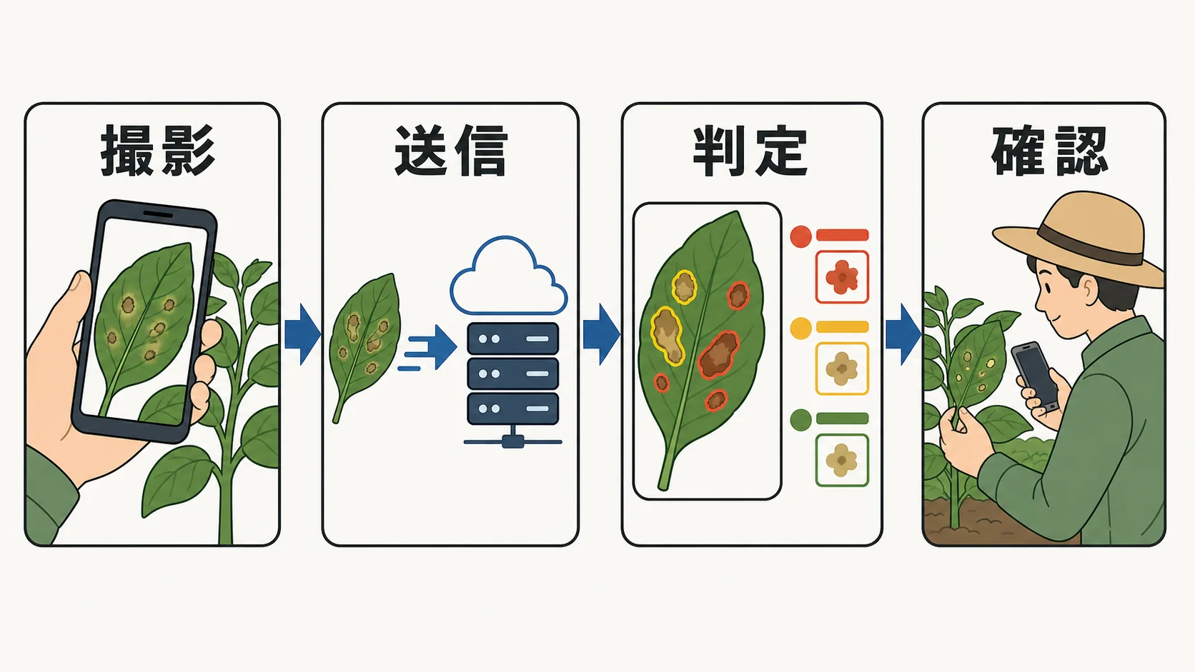 作物の葉の画像をWAGRI病虫害AI画像診断APIへ送信し、病虫害候補と検出位置を受け取って農業者が確認するまでの4ステップの図解