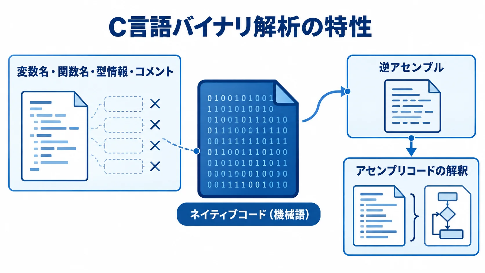 C言語バイナリ解析で確認する要素 ネイティブコードに変換されたC言語バイナリと、消えた情報、逆アセンブル、アセンブリコードの解釈を示す図。