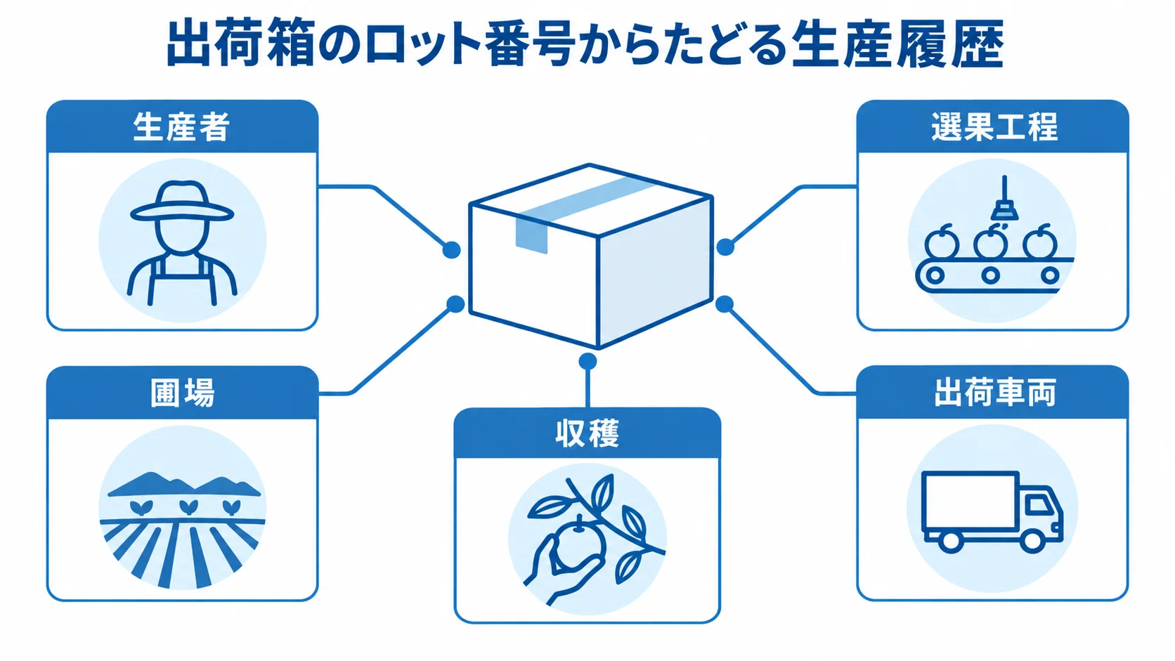 出荷箱のロット番号から確認する生産履歴の項目を示した図。 出荷箱のロット番号を中心に、生産者から出荷車両までの履歴項目を示す図解。