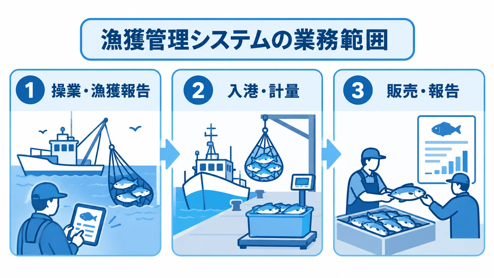 漁獲管理システムが扱う3つの業務工程 漁獲管理システムが扱う操業・漁獲報告、入港・計量、販売・報告の3工程を並べた図解。