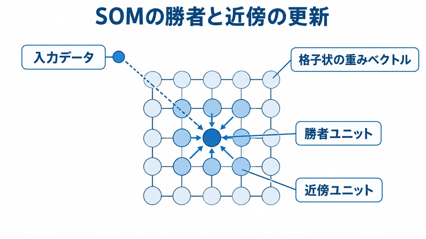 SOMで入力データに合わせて勝者と近傍の重みを更新する図 入力データに似た勝者ユニットと、その周囲の近傍ユニットを示すSOMの図解。