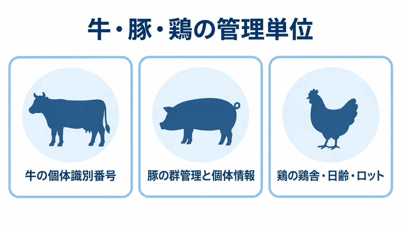 牛・豚・鶏で異なる出荷管理の単位 牛の個体識別番号、豚の群管理と個体情報、鶏の鶏舎・日齢・ロットを示す3つのパネル